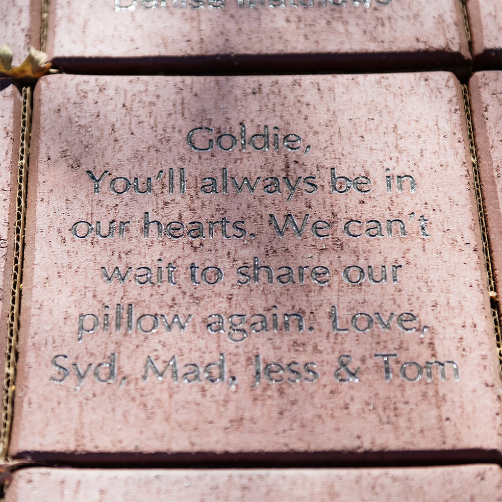 Engraved Bricks